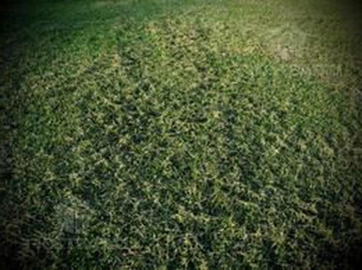  Land in Pilar, Argentina No. 116434