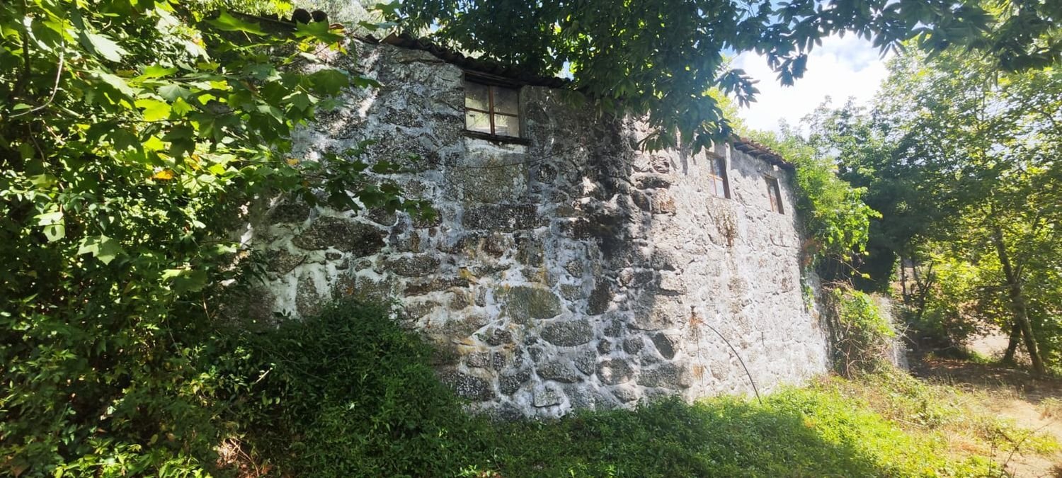 7 bedrooms House in Cantelaes, Portugal No. 307069