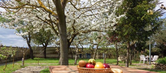 4 bedrooms House in Alava, Spain No. 171789 26