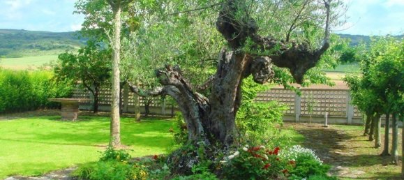 4 bedrooms House in Alava, Spain No. 171789 3