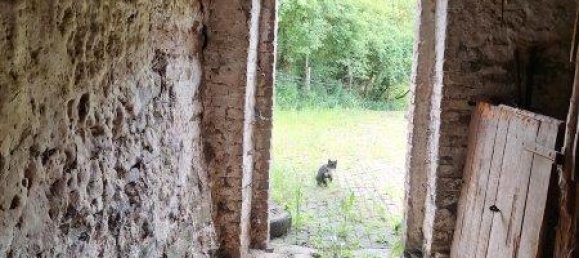 6 Schlafzimmer Bauernhof in Rheinland-Pfalz, Germany, Nr. 262759 6