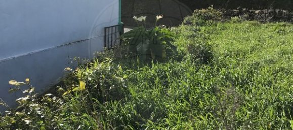 3 غرف نوم منزل في Praia da Vitoria, Portugal رقم 164567 4