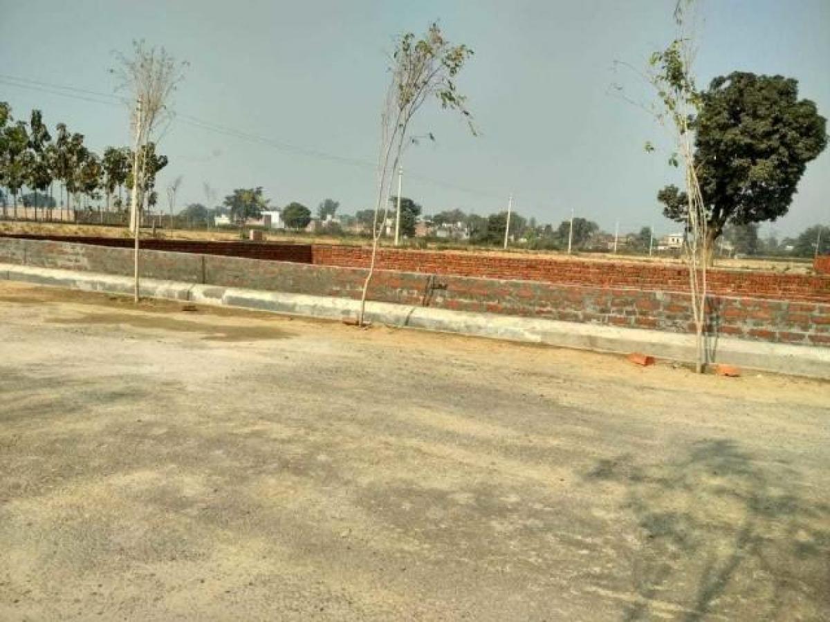 Terrain à Lucknow, India No. 31486