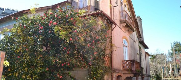 Studio in Agueda, Portugal No. 45835 5