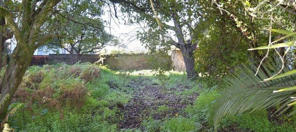 Studio in Agueda, Portugal No. 45835 12