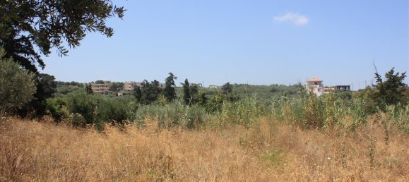 Hôtel à Chania, Greece 6340m² No. 5587 5