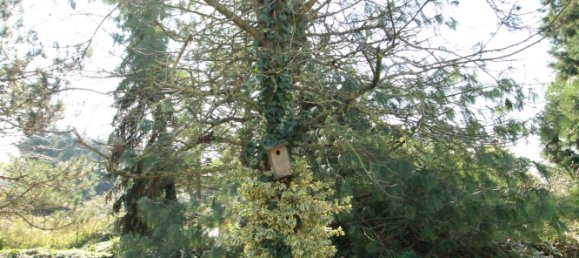 5 bedrooms House in Beynes, France No. 114925 27