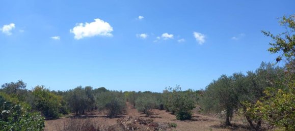 4-Zimmer Villa in Marsala, Italy, Nr. 45877 2