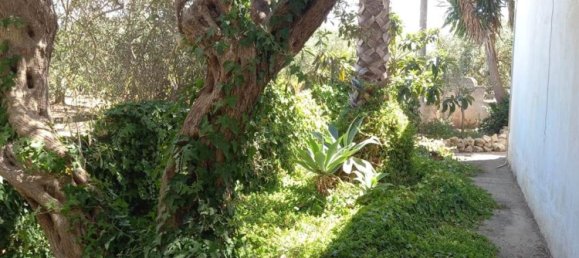 4-Zimmer Villa in Marsala, Italy, Nr. 45877 6