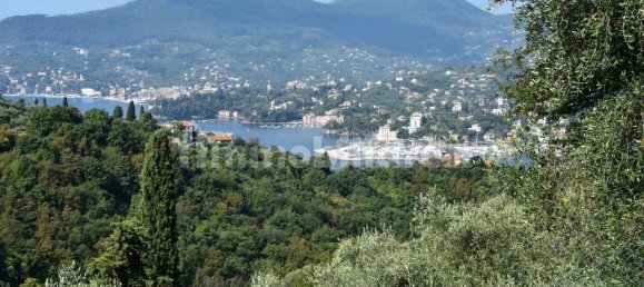 4 غرف نوم فيلا في Zoagli, Italy رقم 36216 7