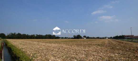  قطعة أرض في Trevignano, Italy 13500متر مربع رقم 294497 3