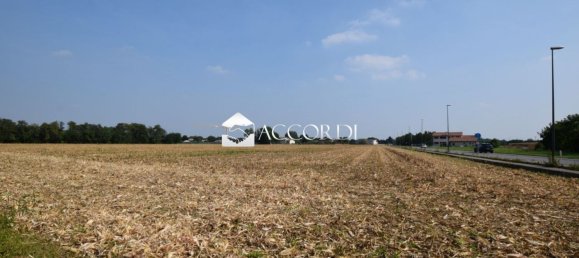  قطعة أرض في Trevignano, Italy 13500متر مربع رقم 294497 2