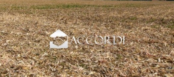  قطعة أرض في Trevignano, Italy 13500متر مربع رقم 294497 4