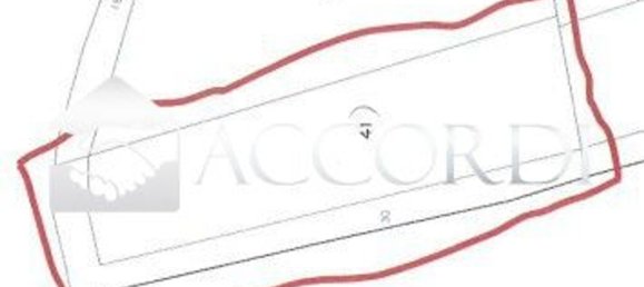  قطعة أرض في Trevignano, Italy 13500متر مربع رقم 294497 8