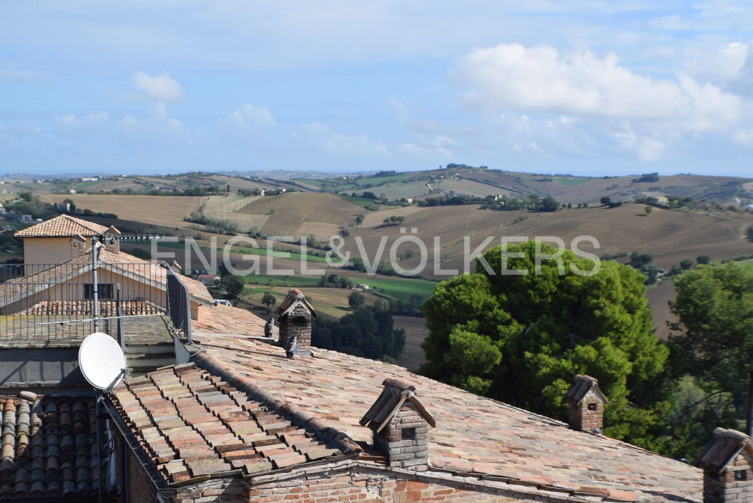 8 chambres Bâtiment à Mondavio, Italy No. 102250