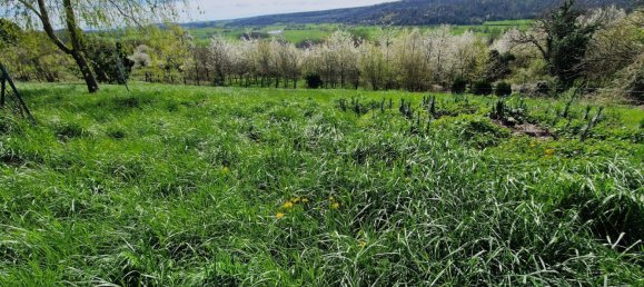 2 bedrooms House in Laferte-sur-Amance, France No. 75951 13