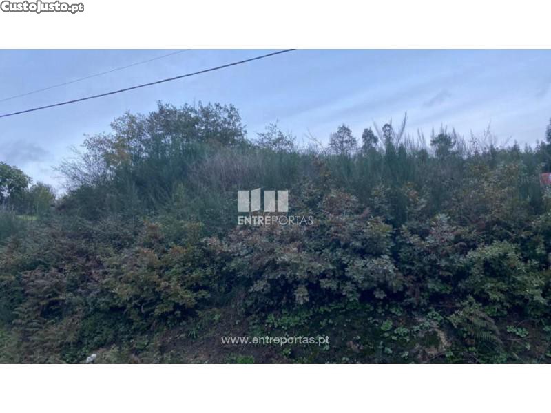 802m² Land in Baiao, Portugal No. 56291