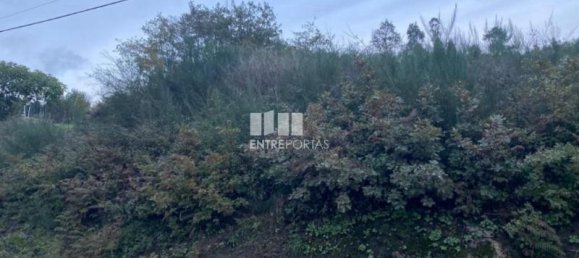 802m² Land in Baiao, Portugal No. 56291 5