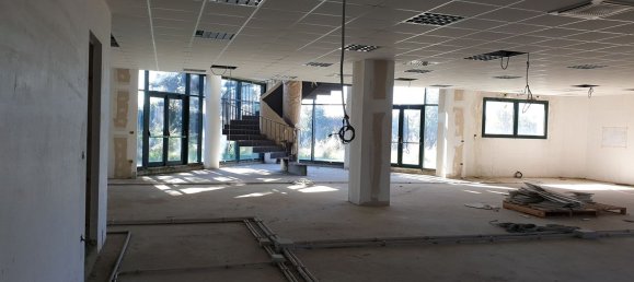 7000m² Commercial property in Grottaferrata, Italy No. 380167 7