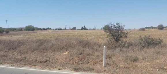 8237m² terrain à vendre à Avgorou, Ammochostos, Cyprus № 181353 3