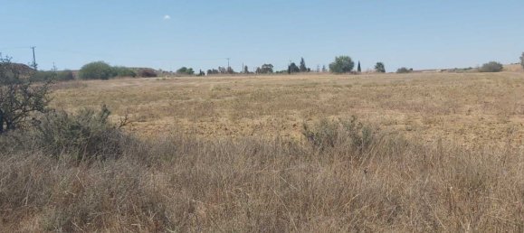 8237m² terrain à vendre à Avgorou, Ammochostos, Cyprus № 181353 2