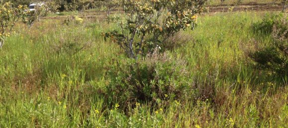  Land in Estepona, Spain No. 147525 10