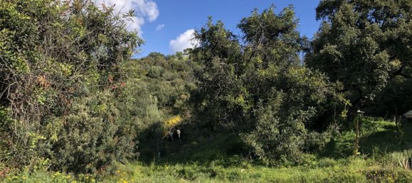  Land in Estepona, Spain No. 147525 17