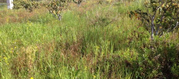  Land in Estepona, Spain No. 147525 11