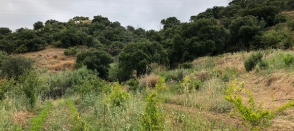  Land in Estepona, Spain No. 147525 20