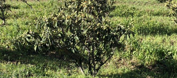  Land in Estepona, Spain No. 147525 18