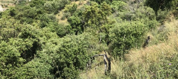  Land in Estepona, Spain No. 147525 23