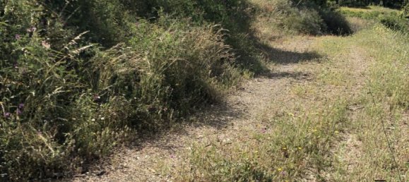  Land in Estepona, Spain No. 147525 21