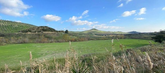 30000m² Land in Borgia, Italy No. 83266 8