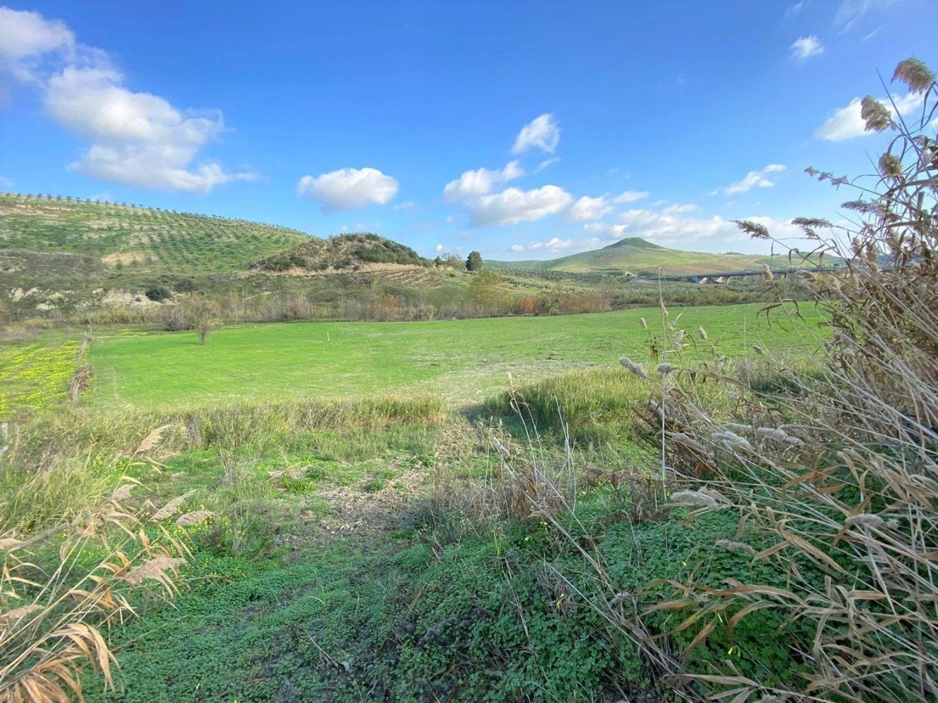 30000m² Land in Borgia, Italy No. 83266