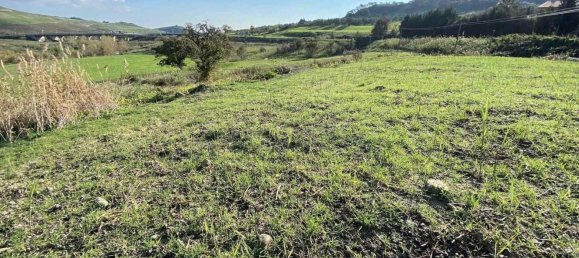 30000m² Land in Borgia, Italy No. 83266 4