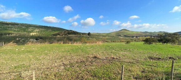 30000m² Land in Borgia, Italy No. 83266 5