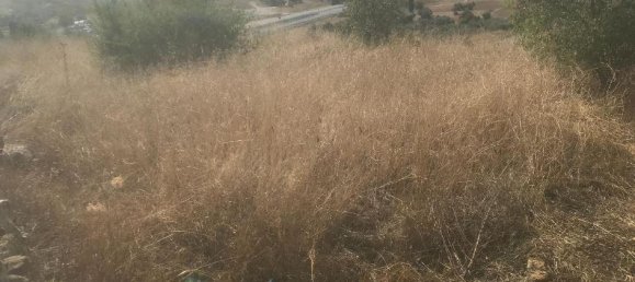  Land in El Molar, Spain No. 81900 5