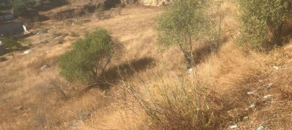  Land in El Molar, Spain No. 81900 4