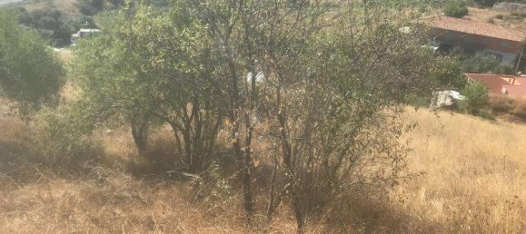  Land in El Molar, Spain No. 81900 6