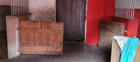 2 bedrooms Bungalow in Altmarkkreis Salzwedel, Germany No. 339070 5