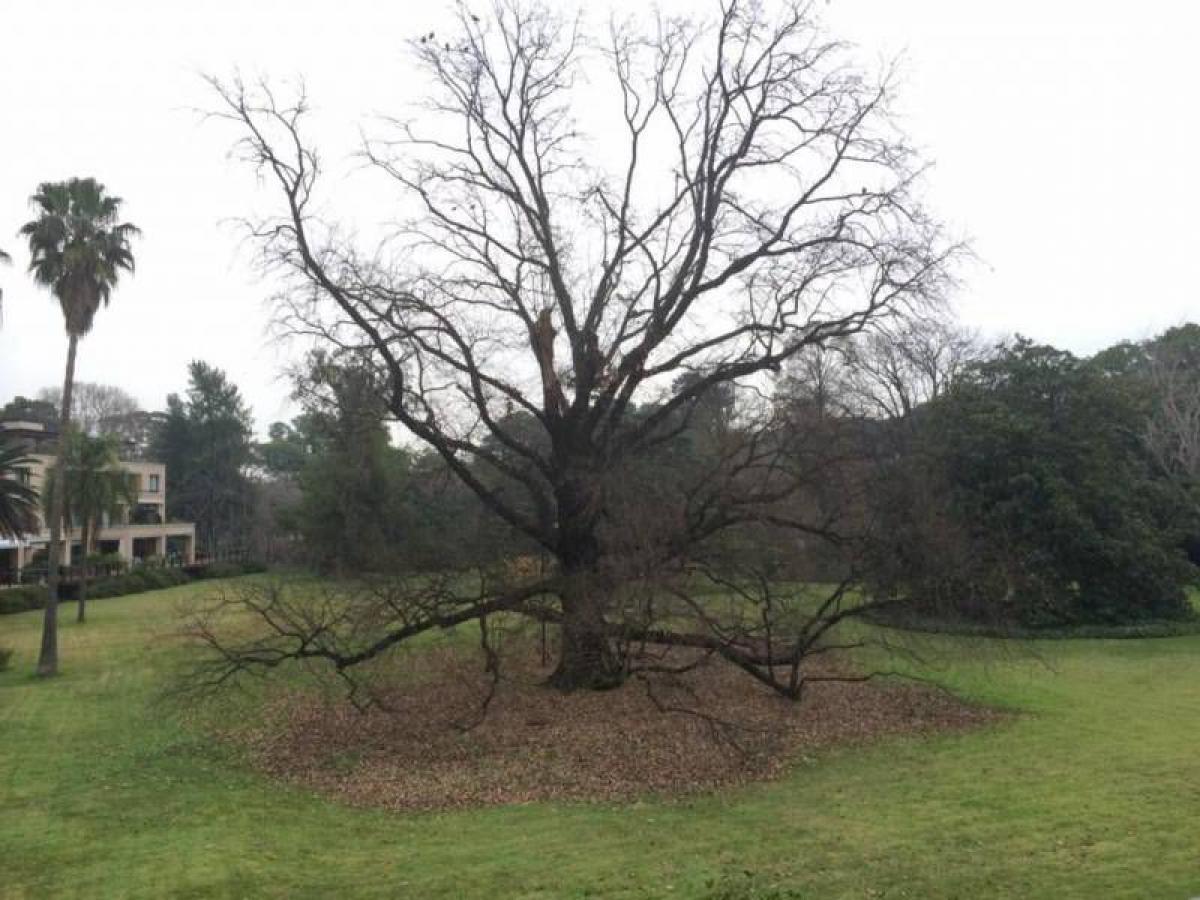 2 bedrooms Apartment in Tigre, Argentina No. 18205