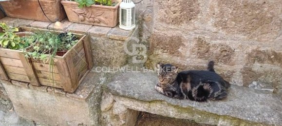 2 bedrooms Apartment in Calcata, Italy No. 287210 34