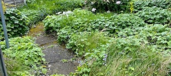 3 bedrooms House in Birmingham, United Kingdom No. 929 10