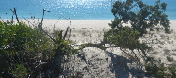 5 bedrooms Villa in Grandola, Portugal No. 121063 19