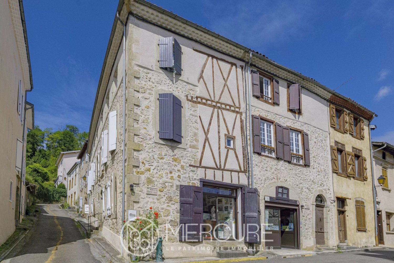 3 bedrooms House in La Bastide-de-Serou, France No. 292394