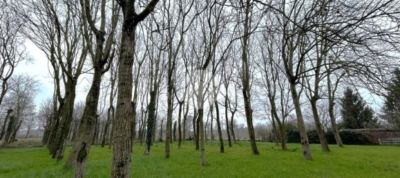 2 chambres Villa à Vigonza, Italy No. 80382 22