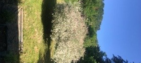 3 غرف نوم منزل في Viviers-sur-Chiers, France رقم 51558 12