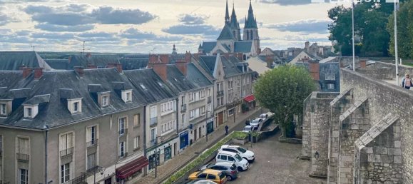 240m² Commercial property in Blois, France No. 95056 6