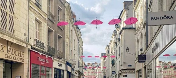 240m² Commercial property in Blois, France No. 95056 5