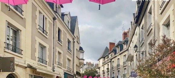 240m² Commercial property in Blois, France No. 95056 3